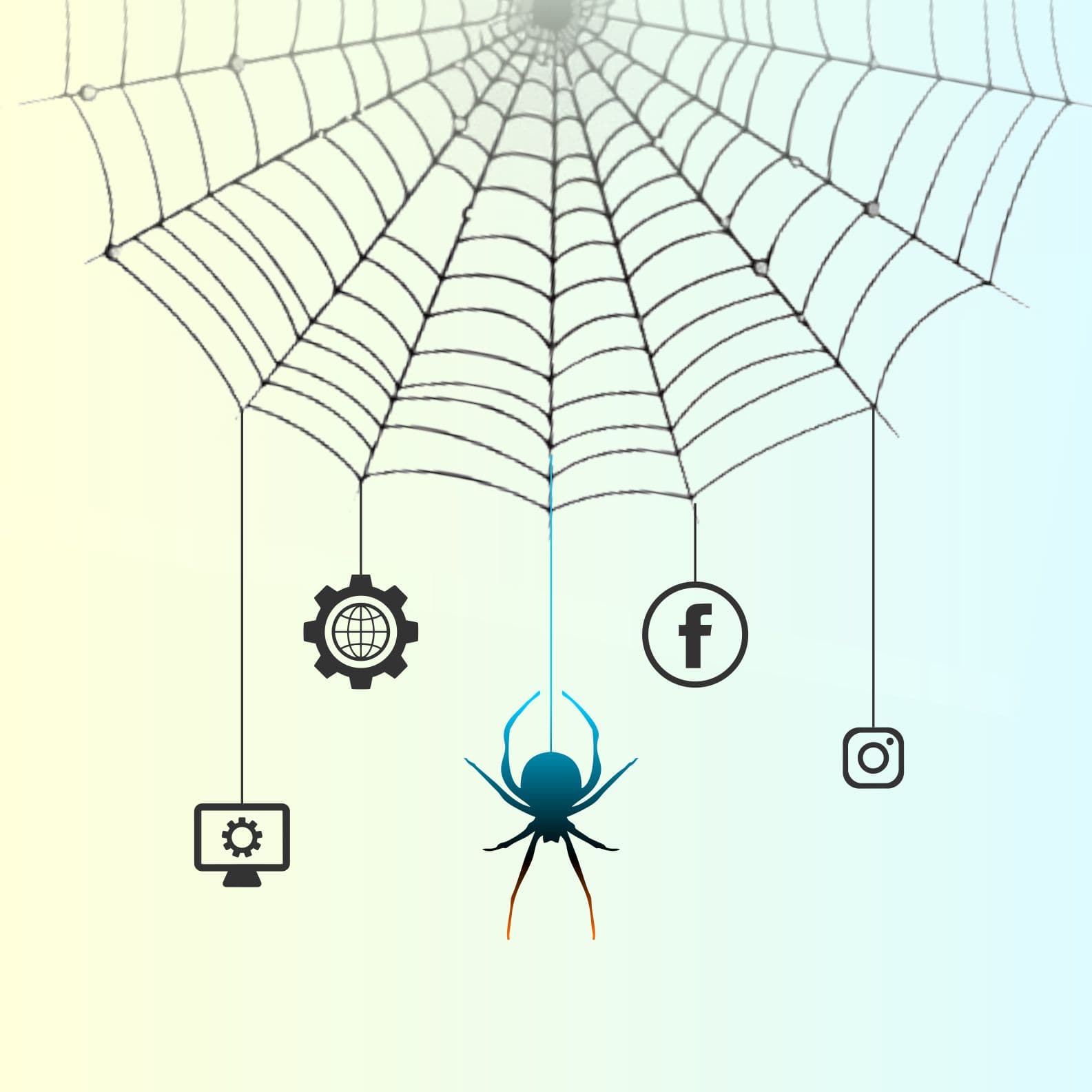 Web Design & Development